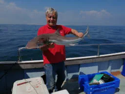 An angler holding up large smooth-hound