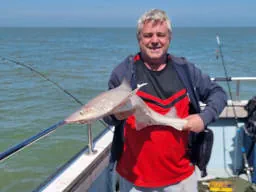 Angler holding a Starry smooth-hound