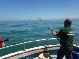 An Angler with rod bent into a Tope